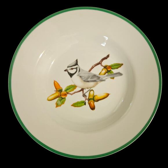 National Wildlife Federation Bird Bowls Set of 4 – 8" Soup/Cereal Songbird Green - Picture 6 of 8